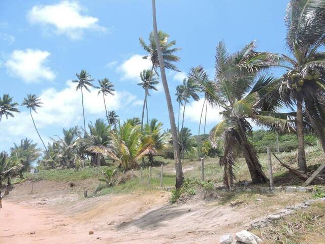 Área para Venda em Conde - 5